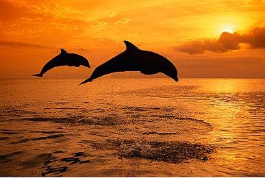 《GT赛车7》1.31版下周更新 再添五款全新车型