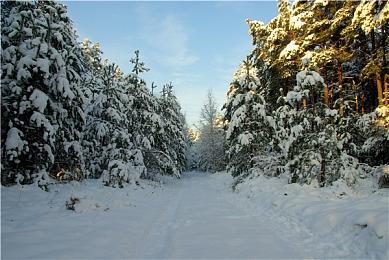 将新增更多内容！ 《杀戮尖塔2》宣布延期发布