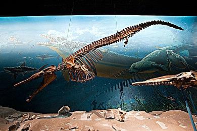 五种形态！《狂野之心S》武器“变形棍”介绍